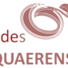Fides Quaerens: Le ragioni della pace 28 Febbraio 2023